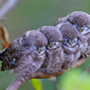 Meet your Posher, Jack d